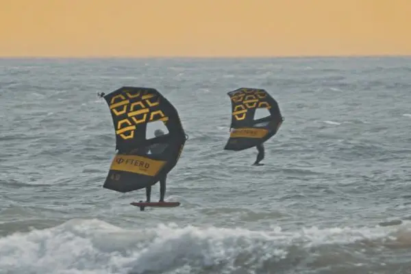 Ftero wing